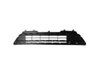 Ford HP5Z-17B968-AA Lower Grille, Front Ford HP5Z-17B968-AA Lower Grille, Front