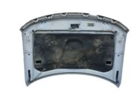 Ford CL3Z-16612-A Hood Assembly