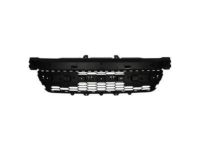 Ford FL1Z-17D635-AA Grille - Bumper