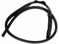 Ford 4L3Z-1651222-AA Weatherstrip, Passenger Side Ford 4L3Z-1651222-AA Weatherstrip, Passenger Side