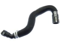 Ford DG1Z-8C289-B Hose Assembly