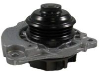 Ford 9L8Z-8501-A Pump Assembly - Water