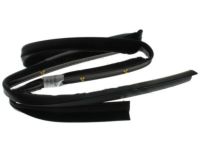 Ford FL3Z-1620758-B Weatherstrip - Door - Lower