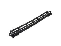 Ford DT1Z-17K946-A Grille - Bumper