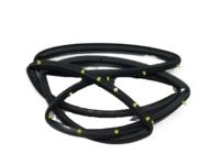 Ford CJ5Z-7825324-A Weatherstrip