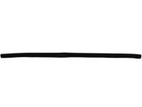 Ford F81Z-2520758-AA Weatherstrip - Door - Lower