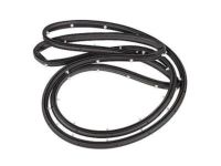 Ford CJ5Z-7820530-A Weatherstrip