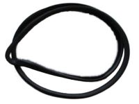 Ford BE8Z-5825325-A Weatherstrip