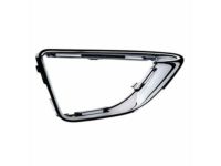 Ford AE5Z-17E810-F Bezel, Front Passenger Side Ford AE5Z-17E810-F Bezel, Front Passenger Side