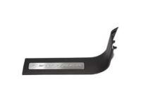 Ford DB5Z-7813208-AC Plate - Door Scuff