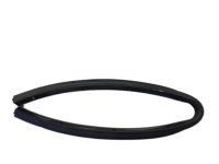 Ford FA1Z-5820759-B Lower Weatherstrip, Driver Side Ford FA1Z-5820759-B Lower Weatherstrip, Driver Side