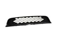 Ford AR3Z-17K945-AA Grille - Bumper