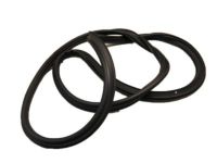 Ford 8T4Z-78404A06-A Weatherstrip