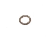 Ford E1ZZ-19E576-B Spring