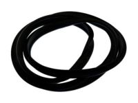 Ford DP5Z-5443720-B Weatherstrip