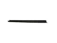 Ford BK3Z-6120938-AB Moulding - Door Outside