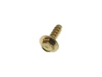 Ford -W707382-S309U Screw