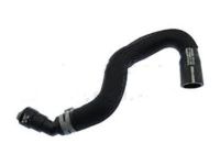 Ford 8G1Z-8286-B Hose - Radiator