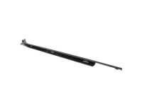 Ford FL3Z-1625596-A Weatherstrip - Door Glass Channel