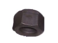 Ford -N620469-S2 Nut - Adjusting Screw Ford -N620469-S2 Nut - Adjusting Screw