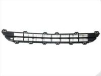 Ford AH6Z-8200-CA Grille - Radiator