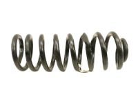 Ford 9L1Z-5310-L Spring - Front