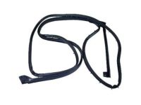 Ford BB5Z-7825324-A Weatherstrip