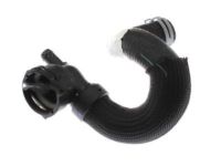 Ford CV6Z-8286-M Hose - Radiator