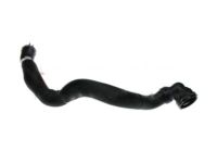 Ford CV6Z-8260-M Hose - Radiator