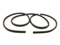 Ford BL3Z-1820708-B Weatherstrip Assembly - Door Opening