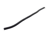 Ford 7L1Z-4025324-A Weatherstrip - Door - Lower