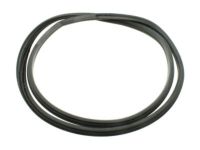 Ford 6L1Z-78253A10-A Weatherstrip - Door Opening