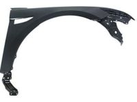 Ford DG1Z-16005-B Fender Assembly - Front