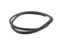 Ford GD9Z-5420708-A Weatherstrip Assembly - Door Opening