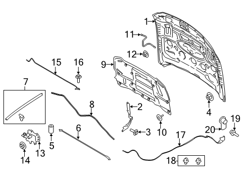 2015 Ford Mustang Hood & Components Diagram