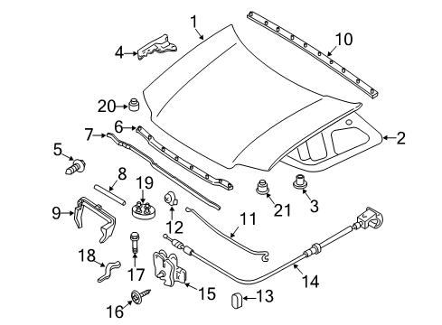 2009 Ford Escape Hood & Components Diagram