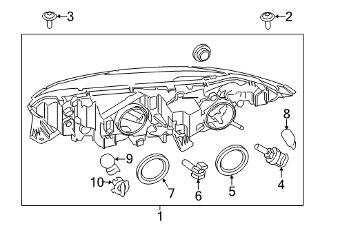 2023 Ford Transit Connect Bulbs Diagram