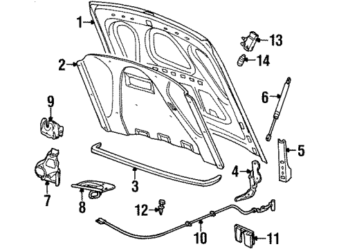 2000 Lincoln Town Car Hood & Components, Body Diagram