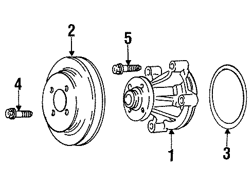 2000 Ford Crown Victoria Water Pump Diagram