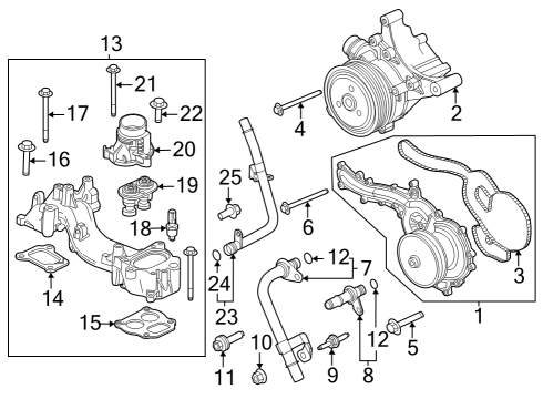 2024 Ford F-250 Super Duty Water Pump Diagram