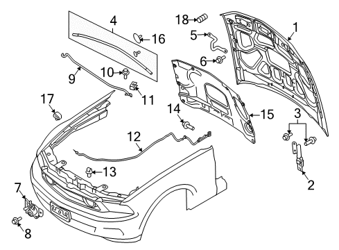 2014 Ford Mustang Hood & Components Diagram