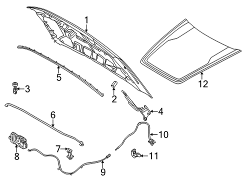 2023 Ford Maverick Hood & Components, Exterior Trim Diagram