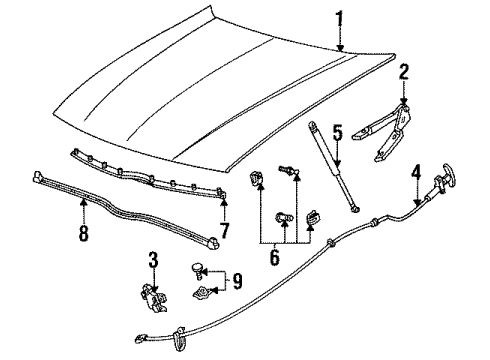 1992 Ford Taurus Hood Assembly Diagram for F2DZ16612A