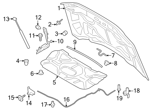 2023 Ford F-350 Super Duty Hood & Components Diagram