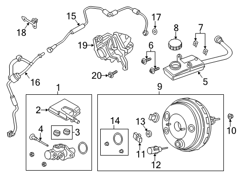 2013 Ford C-Max Nut - Wing Diagram for CV6Z-2462-A