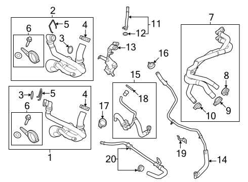 2024 Ford F-250 Super Duty Hoses, Lines & Pipes Diagram