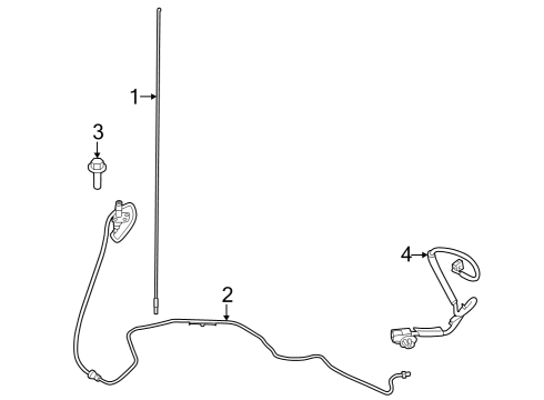 2024 Ford F-250 Super Duty Antenna & Radio Diagram