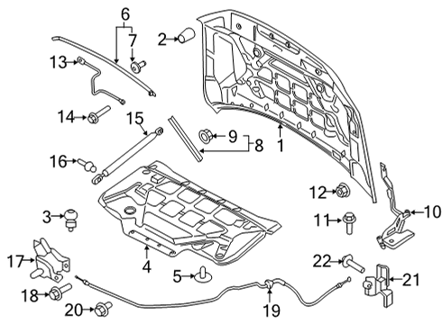 2021 Ford F-150 Hood & Components Diagram