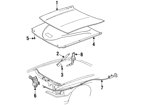 1992 Ford Crown Victoria Hood & Components Diagram