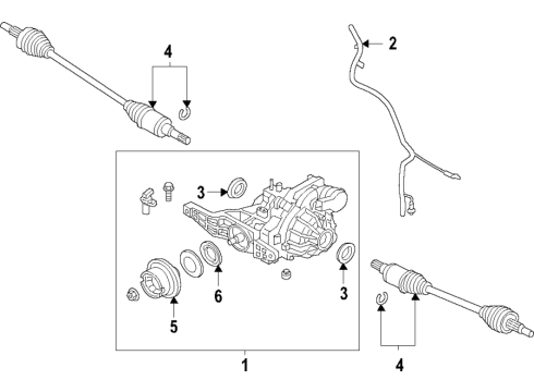 2023 Ford Bronco Sport Rear Axle, Differential, Drive Axles, Propeller Shaft Diagram